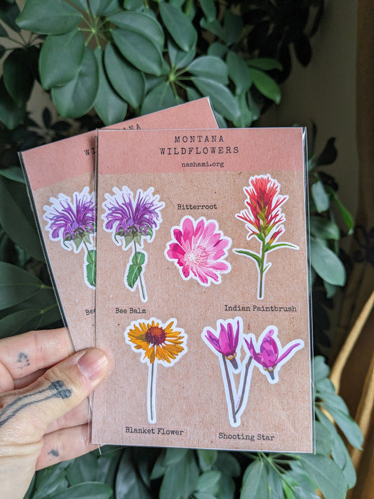 Rocky Mountain Wildflower Sticker Pack