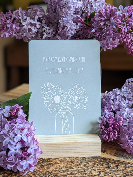 Pregnancy Affirmation Cards I With Add On Stand